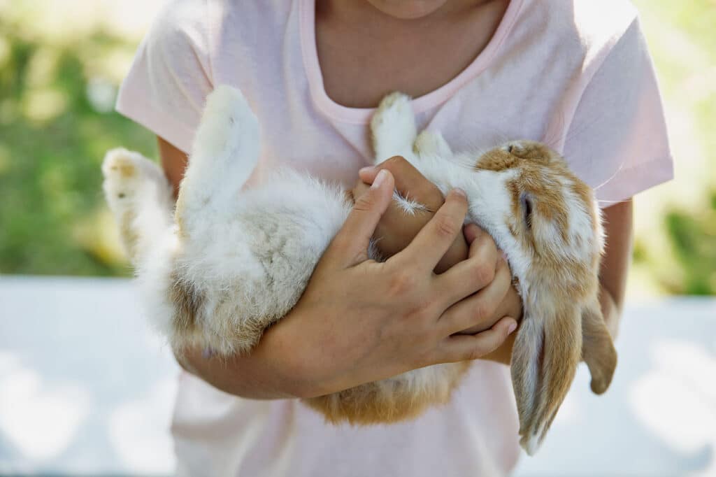 Kinderhotel mit Streichelzoo, Kärnten