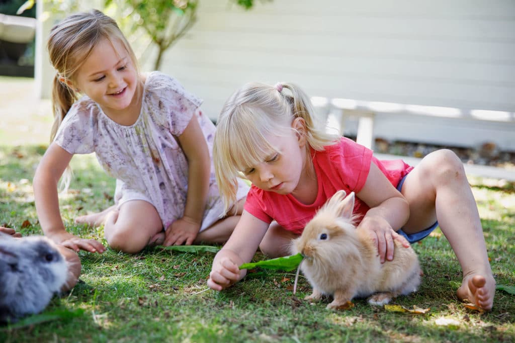 Kinderhotel mit Streichelzoo, Kärnten